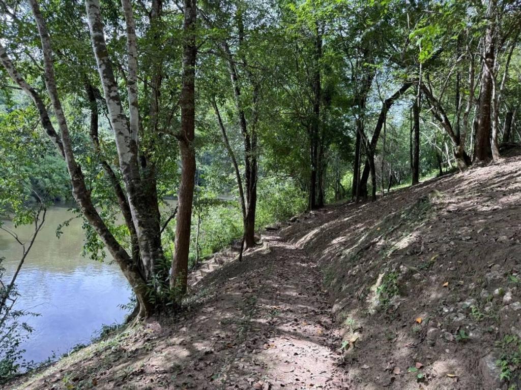 listing image with ID 65608