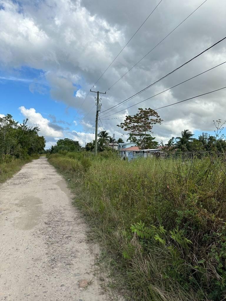 listing image with ID 63990