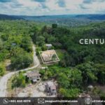 listing image thumbnail with ID 65426