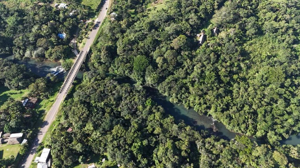 listing image with ID 64595