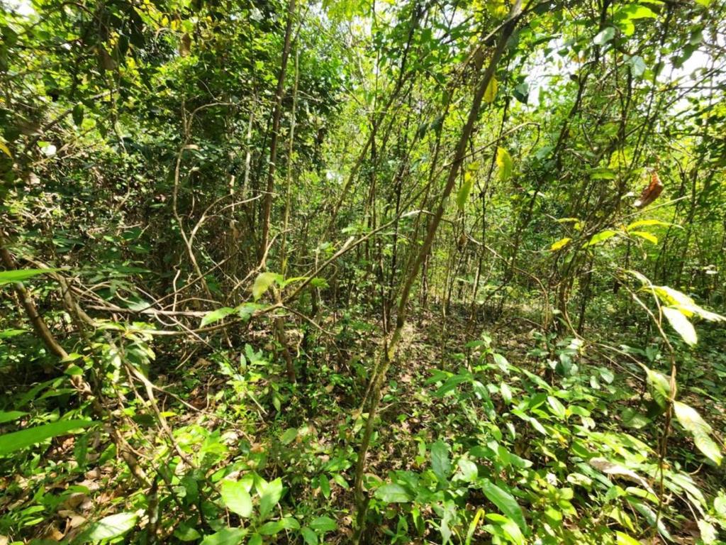 listing image with ID 64890