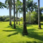 listing image thumbnail with ID 67736