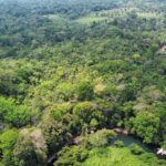 listing image thumbnail with ID 69186