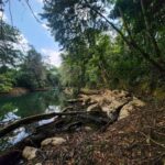 listing image thumbnail with ID 69178