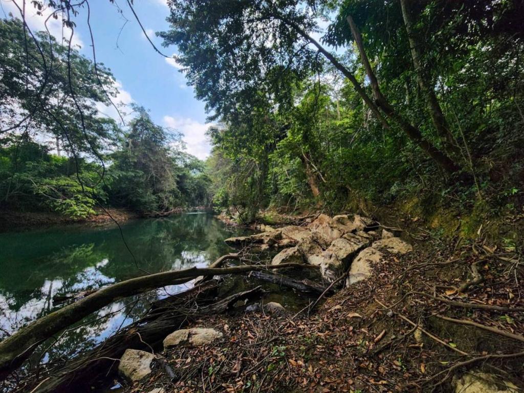 listing image with ID 69178