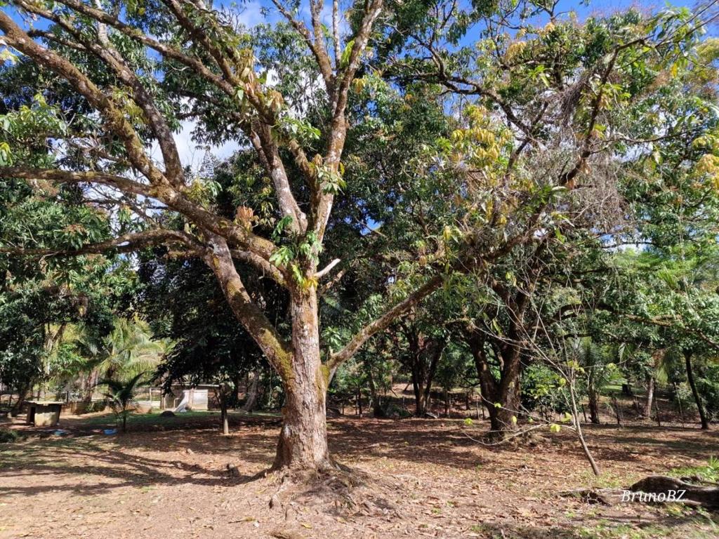 listing image with ID 67988