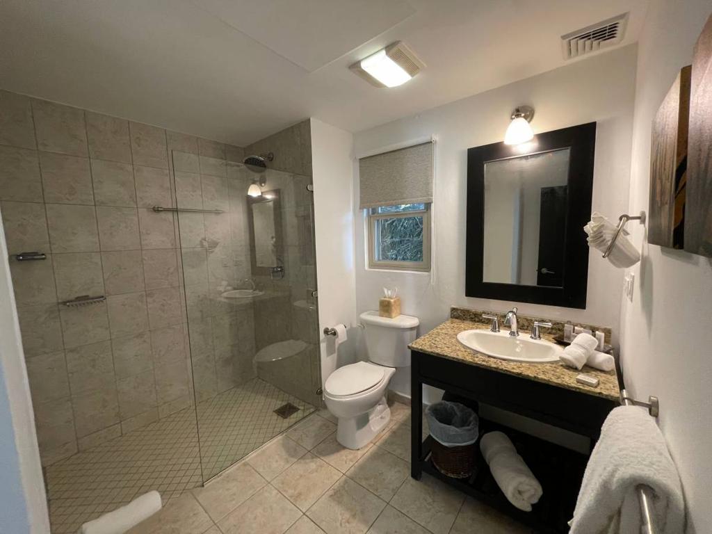 listing image with ID 66312