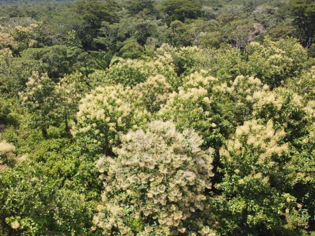 listing image with ID 64214