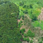 listing image thumbnail with ID 67646