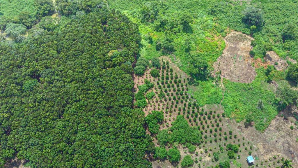 listing image with ID 67646