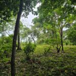 listing image thumbnail with ID 65223