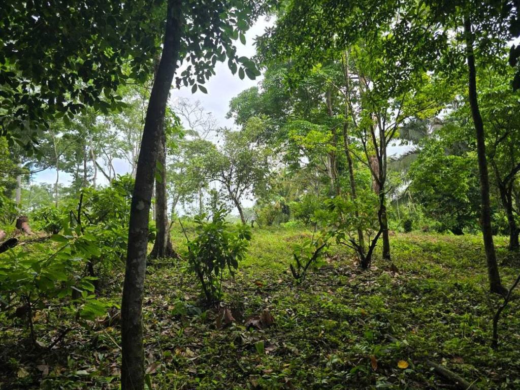 listing image with ID 65223