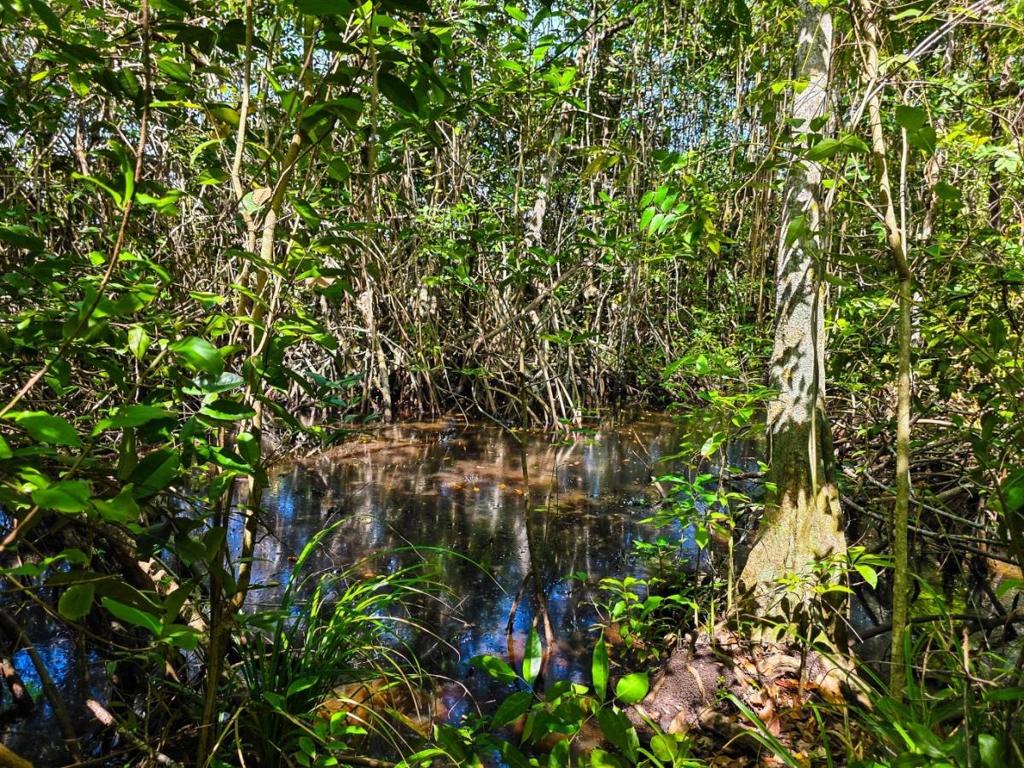 listing image with ID 63738