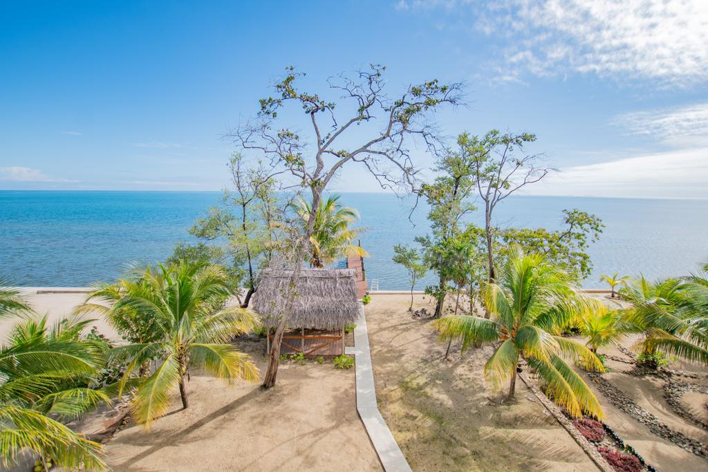 listing image with ID 68807