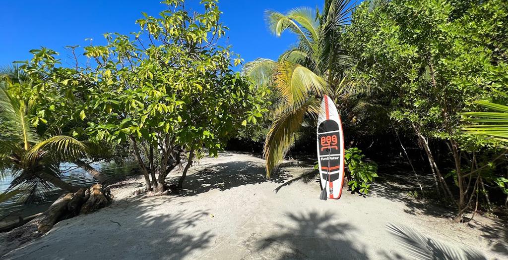 listing image with ID 68308