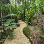 listing image thumbnail with ID 65900