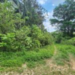 listing image thumbnail with ID 69171