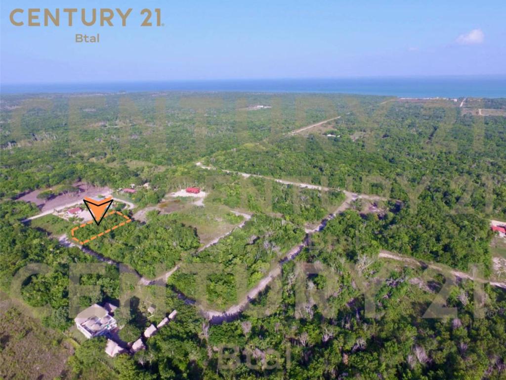 listing image with ID 63667