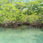 listing image thumbnail with ID 65400