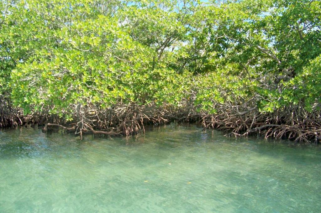 listing image with ID 65400