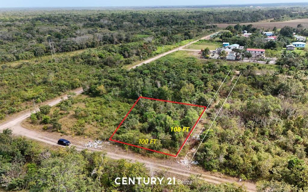 listing image with ID 64411