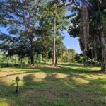 listing image thumbnail with ID 64929