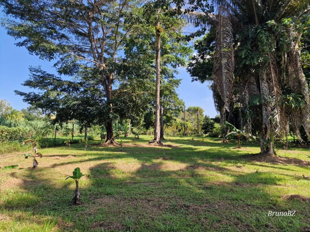 listing image with ID 64929