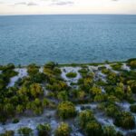 listing image thumbnail with ID 68716