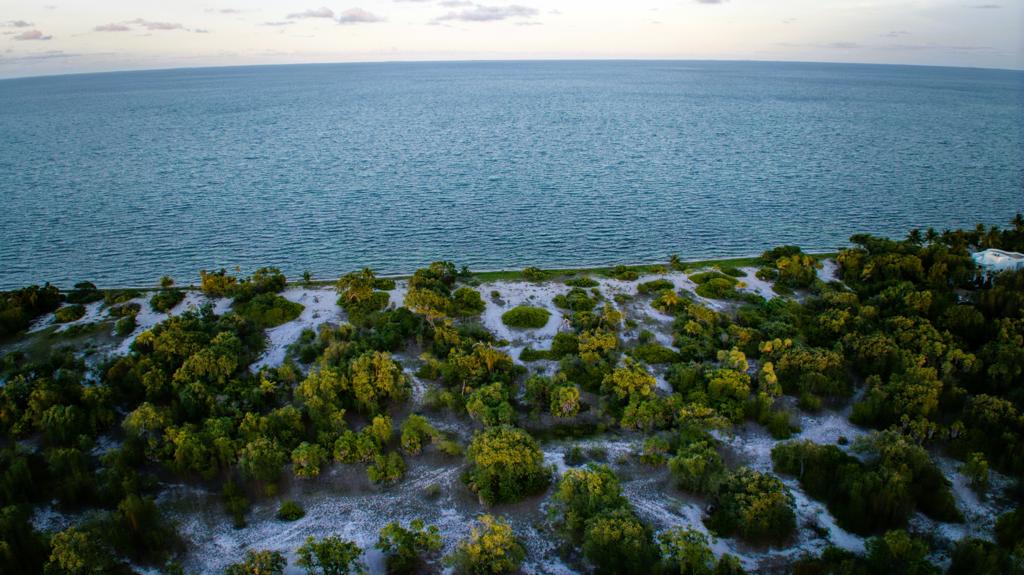 listing image with ID 68716