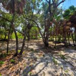 listing image thumbnail with ID 65811