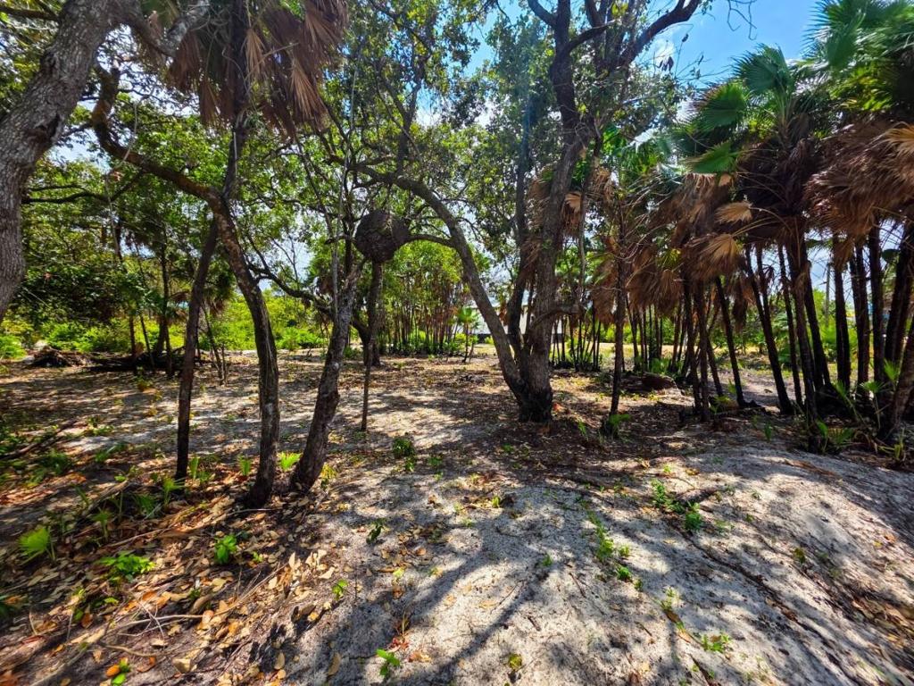 listing image with ID 65811