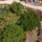 listing image thumbnail with ID 65125