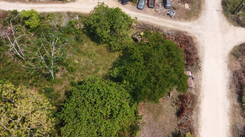 listing image with ID 65125