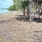 listing image thumbnail with ID 68204