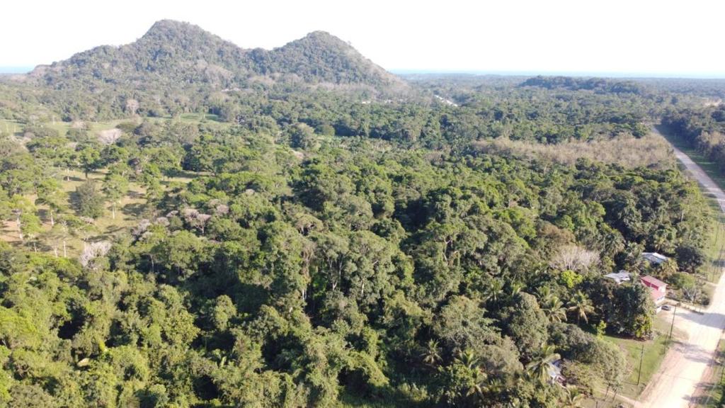 listing image with ID 66103