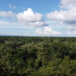 listing image thumbnail with ID 65545