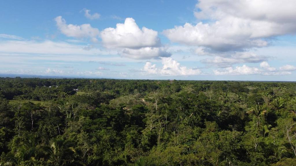 listing image with ID 65545