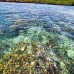 listing image thumbnail with ID 65082