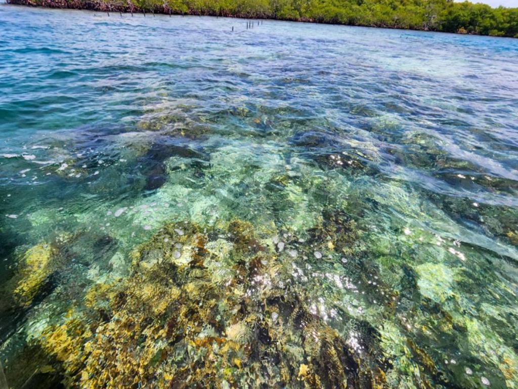 listing image with ID 65082