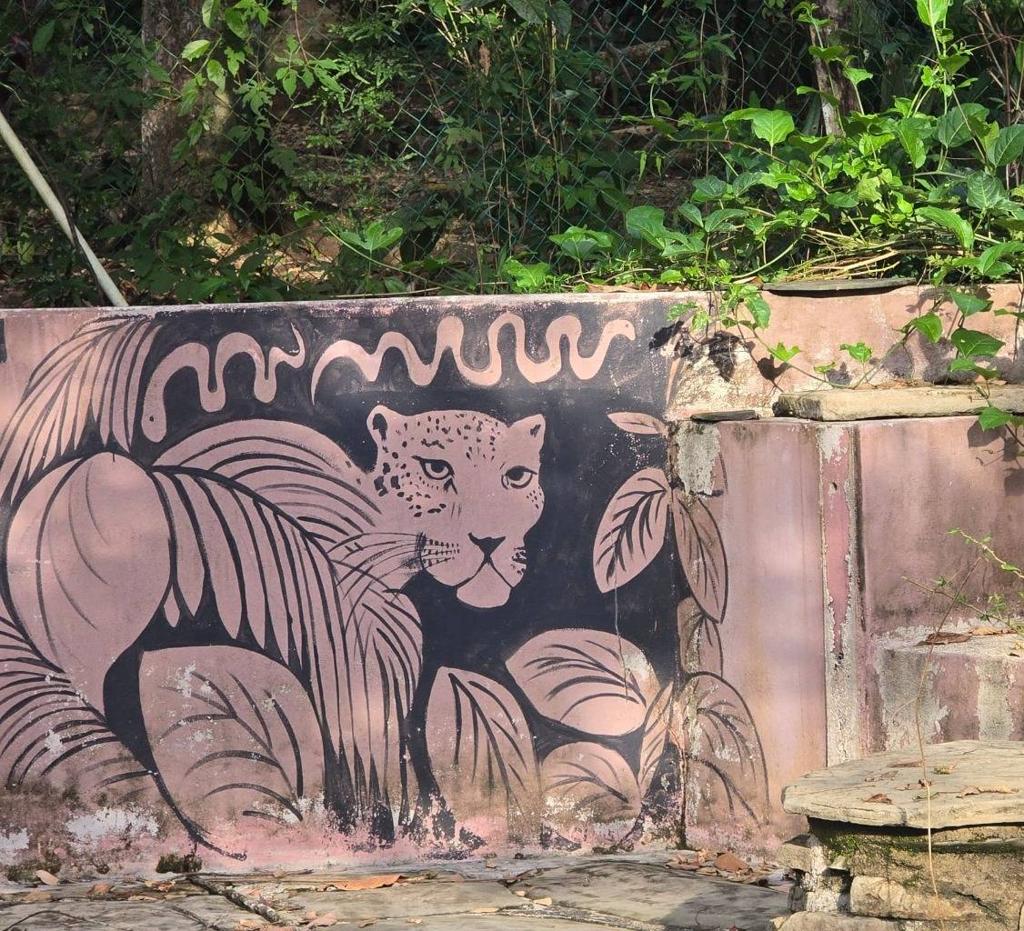 listing image with ID 66883