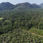 listing image thumbnail with ID 68066