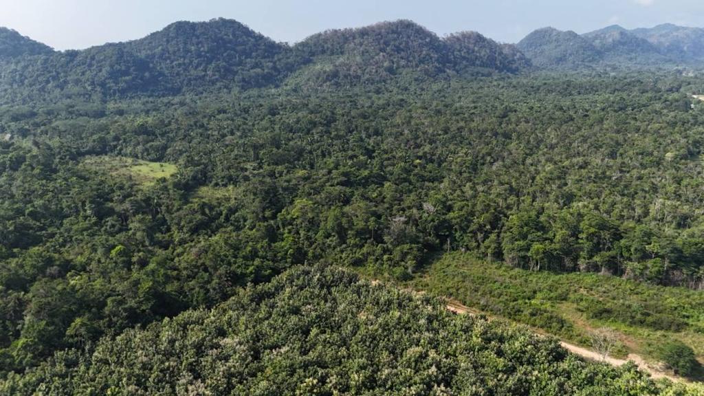 listing image with ID 68066