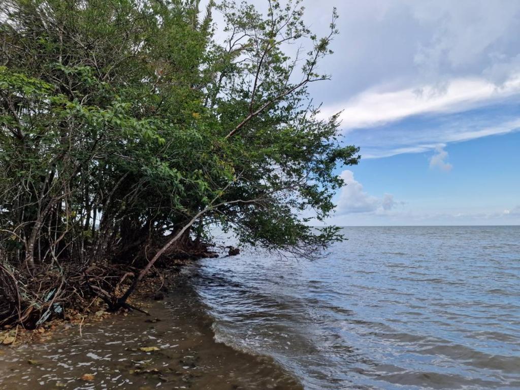 listing image with ID 63713