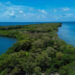 listing image thumbnail with ID 65091