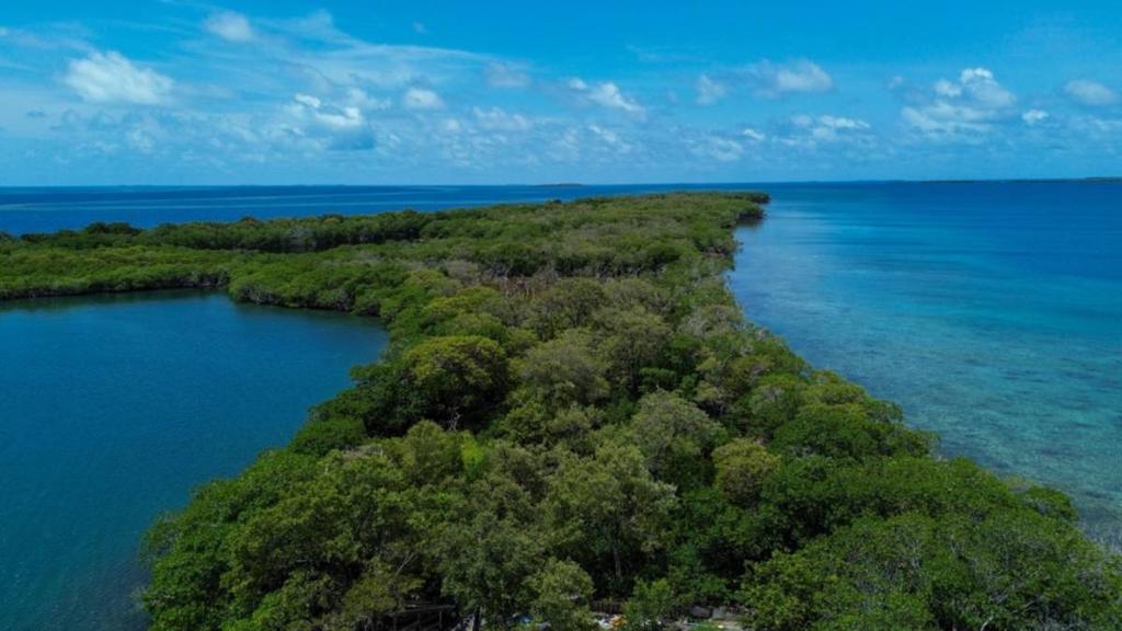 listing image with ID 65091