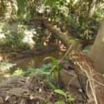 listing image thumbnail with ID 64063