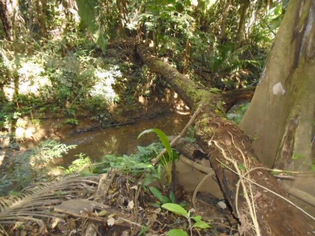 listing image with ID 64063