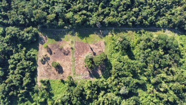 listing image with ID 65827