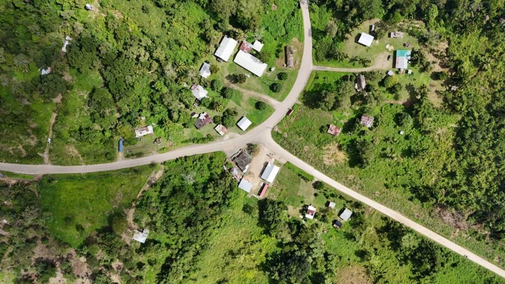 listing image with ID 66161