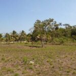 listing image thumbnail with ID 64451